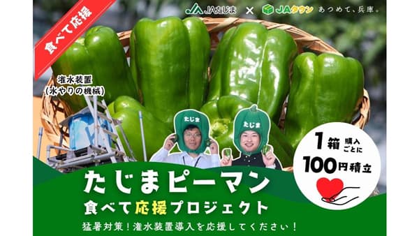 猛暑に負けるな「たじまピーマン食べて応援プロジェクト」開始　ＪＡタウン