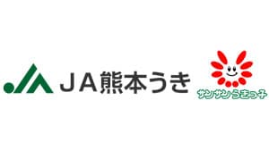 特大サイズで外観の良いイチゴ「特選恋のぞみ」を販売　ＪＡ熊本うき