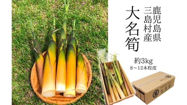 濃厚な味と歯ごたえ　鹿児島県産「大名筍」販売中　ＪＡタウン