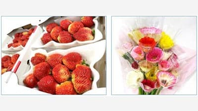 「博多あまおう」や「ガーベラ」など20％OFF　年度末大決算セール開催中　ＪＡタウン