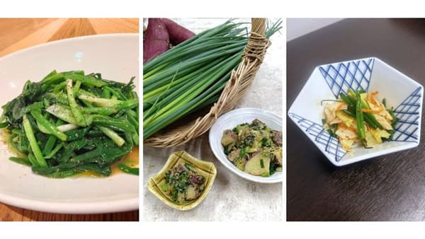 11月23日は『ねぎ』らいの日「小ねぎフェア」27日から開催　ＪＡ全農