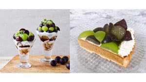 「果汁たっぷり、リッチな味わい岡山県産ぶどうフェア」岡山のみのるダイニングで開催　ＪＡ全農