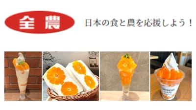 全国柑橘消費拡大協議会とコラボ「国産ハウスみかんフェア」23日から開催　ＪＡ全農