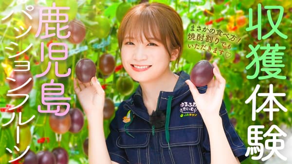 秋元真夏の「ゆるふわたいむ」鹿児島県でパッションフルーツを収穫　ＪＡタウン