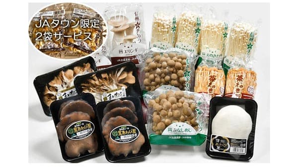 鮮度抜群のきのこ7種を詰合せ「信州中野市きのこ満足セット」販売中　ＪＡタウン