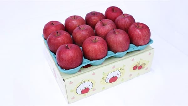 カピバラさんオリジナルBox入り「青森県産サンふじ」販売中　ＪＡタウン