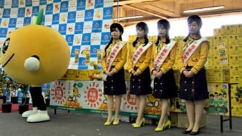 有田みかんの魅力発信「有田みかん大使」募集中　ＪＡありだ共選協議会