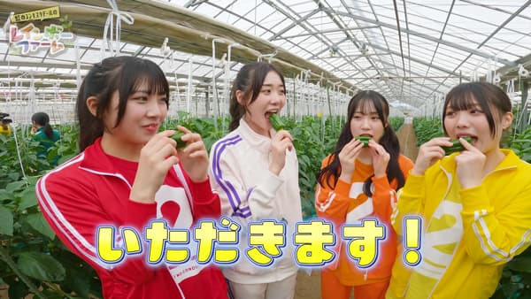 アイドルが本格農業を実践「虹のコンキスタドールのレインボーファーム」配信開始　ＪＡ全農