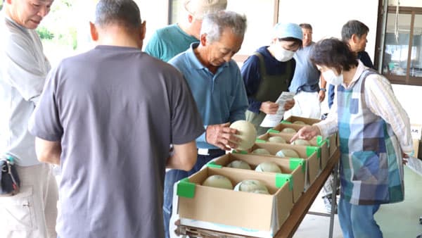 アンデスメロン目揃い会開催　ＪＡ鶴岡