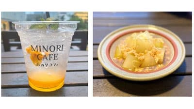 ＪＡ全農が和歌山のフェア　南高梅・新しょうが・冬瓜