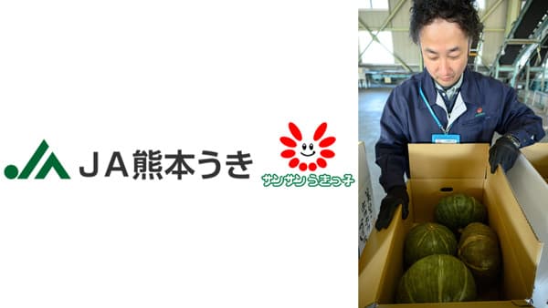 美里カボチャの出荷がピーク　20日まで出荷、総出荷量2300ケース目標　ＪＡ熊本うき