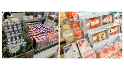 ご当地牛乳飲み比べなど　牛乳消費拡大イベント23日に開催　ＪＡ全農