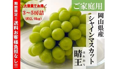 岡山のシャインマスカット「晴王」新規格・家庭用がお買い得　ＪＡタウン