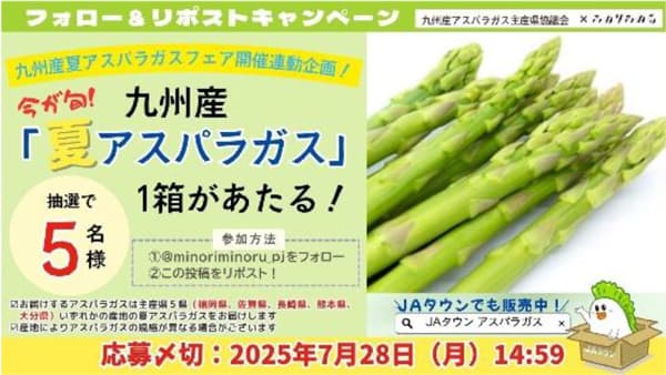 九州の主産地から出荷　みずみずしく柔らかい「夏のアスパラガスフェア」開催　ＪＡ全農