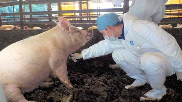 【ＪＡ全農の若い力】家畜衛生研究所（3）病気や環境幅広く　クリニック西日本分室　小川哲郎さん