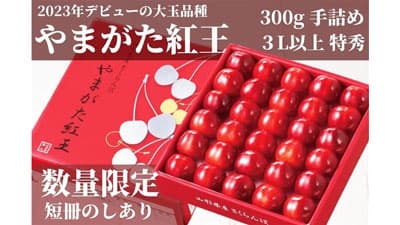 さくらんぼ新品種「やまがた紅王」ＪＡタウン「小さなYAMAGATAマルシェ」で販売