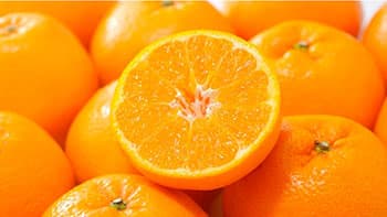 プチプチと甘くはじける大粒果肉　静岡県産みかん「はるみ」販売中　ＪＡタウン