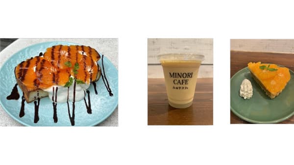 福岡県産温州みかん「北原早生フェア」みのりカフェ福岡店で開催　ＪＡ全農