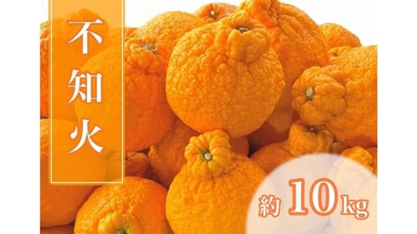 和歌山の柑橘が20％OFF「年度末大決算セール」開催中　ＪＡタウン