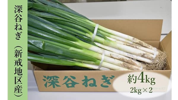 甘み成分をため込んだ埼玉県産「深谷ねぎ」販売中　ＪＡタウン