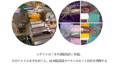 ネギの「根切り」にＡＩ活用　（株）レグミン【ＪＡアクセラレーターがめざすもの】