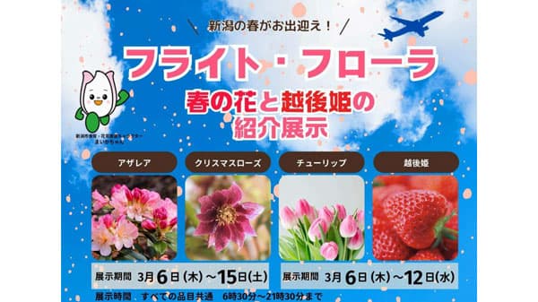 新潟空港で春の花と「越後姫」の紹介展示　ＪＡ全農にいがた、新潟市