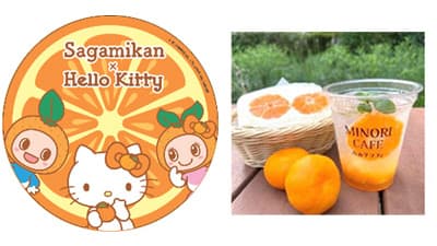 東京と佐賀の直営店で「佐賀県産ハウスみかん×ハローキティフェア」開催　ＪＡ全農