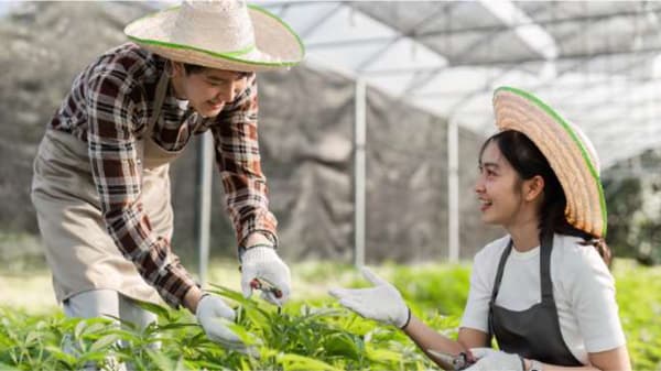 農業を仕事にする第一歩を応援「新・農業人フェア」15日に開催　農協観光