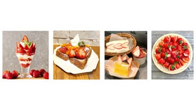 人気のブランドいちご揃い踏み「華やかな、春のはじまり。苺フェア」開催　ＪＡ全農