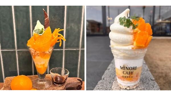 濃厚な甘さとジューシーな果汁「デコポン＆せとかフェア」20日から開催　ＪＡ全農