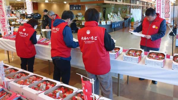 大分いちご果実品評会・即売会開催　大分県いちご販売強化対策協議会
