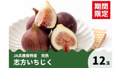 数量限定　ＪＡ兵庫南特産「志方いちじく」新登場　ＪＡタウン