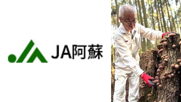 原木シイタケ 収穫が最盛期　ＪＡ阿蘇