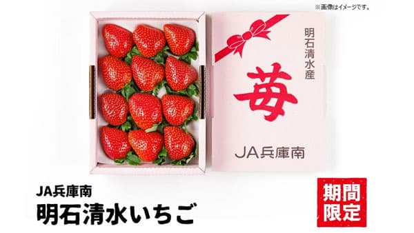 希少なＪＡ兵庫南特産「明石清水いちご」ＪＡタウン「あつめて、兵庫。」に新登場