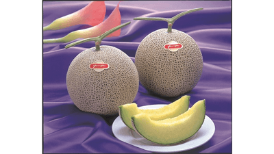 「熊本県産アールスメロン」など対象　国産農畜産物の送料負担なしキャンペーン開催中　ＪＡタウン