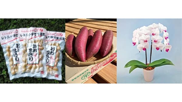 千葉県から掘りたてを直送「レトルトゆで落花生 おおまさり」販売開始　ＪＡタウン