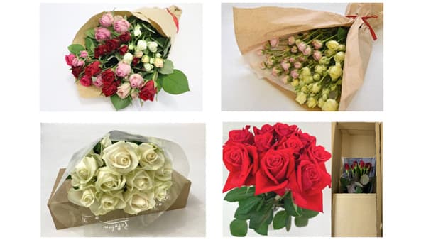 愛知県から新鮮なバラを特別価格で「新春初売りセール」実施中　ＪＡタウン