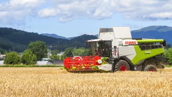 秋まき小麦の収穫が最盛期を迎える　ＪＡきたみらい