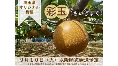 埼玉オリジナル　みずみずしい甘さの大玉梨「彩玉」販売中　ＪＡタウン