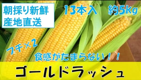 プチプチ食感の宮城県産とうもろこし「ゴールドラッシュ」25日まで販売中　ＪＡタウン