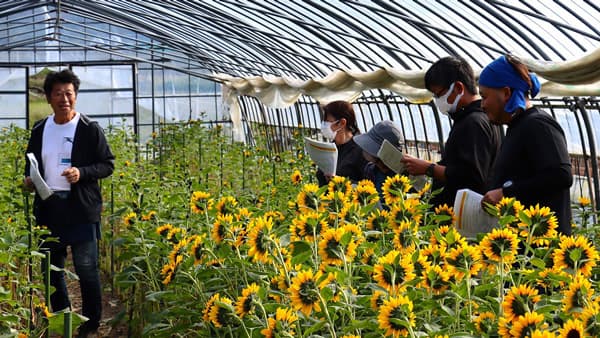 園芸品目現地研修会で新たな作付け品目を紹介　ＪＡ鶴岡