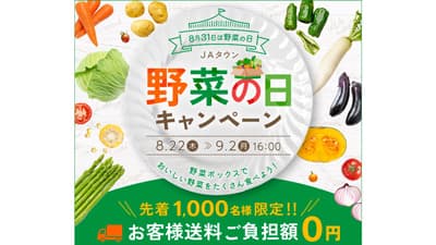 ＪＡタウン「野菜の日キャンペーン」先着1000人に野菜ボックスをプレゼント