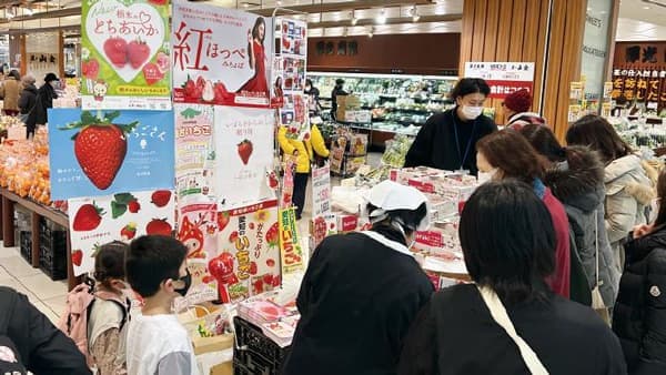 「2023年いちご主産9県合同物販フェア」2月4日に開催　ＪＡ全農