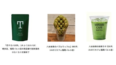 「八女茶発祥600年フェア」みのりカフェ博多店・福岡パルコ店で開催　ＪＡ全農
