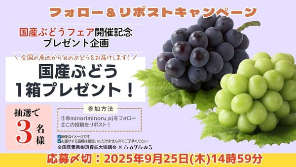 全国の旬のぶどうを食べ比べ「国産ぶどうフェア」12日から開催　ＪＡ全農