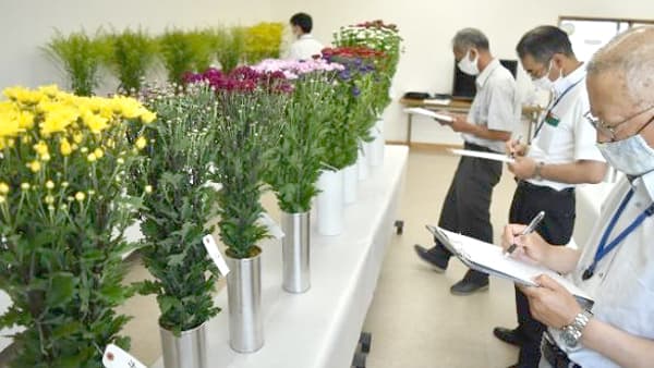 美しき花の競演 令和6年度ＪＡ晴れの国岡山真庭統括本部 花き共進会