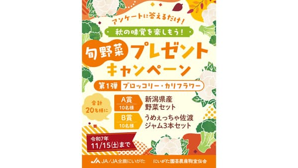 「旬野菜プレゼントキャンペーン」第1弾ブロッコリー・カリフラワー　11月15日まで実施　にいがた園芸農産物宣伝会
