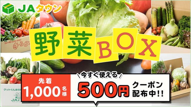 先着1000人に500円クーポンをプレゼント「野菜ボックスキャンペーン」開始　ＪＡタウン