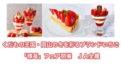 くだもの王国・岡山の冬を彩るブランドいちご「晴苺」フェア開催　ＪＡ全農