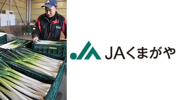 米の裏作に秋冬ねぎ　無選別出荷で手間軽く　ＪＡくまがや